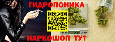 СК Можга