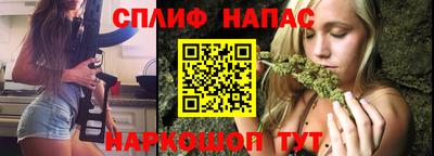 СК Можга