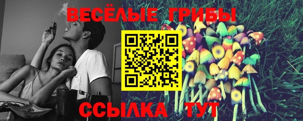 Псилоцибиновые грибы ЛСД Семилуки
