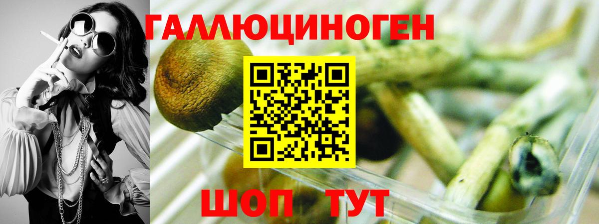 Галлюциногенные грибы мицелий  Вход с VPN  Семилуки 
