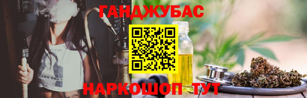 Шишки марихуана конопля  Конопля план  Вход с VPN  Семилуки 
